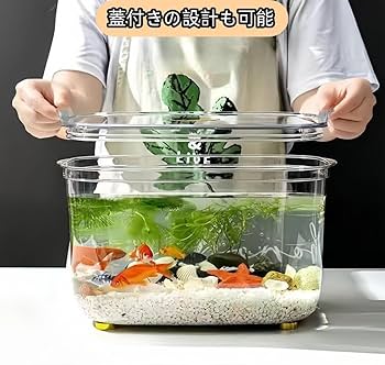 希少　激レア　まめゴマリウム　水槽　金魚鉢　まとめ売り Amazon | 水槽 金魚 水槽 メダカ 水槽 金魚鉢 金魚 亀 水槽 小型